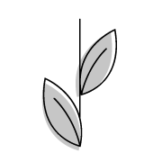 RIVERSIDE Icons2 Growth